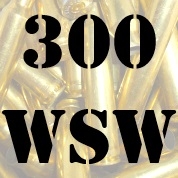 300 WSW Brass - 100+ Cases